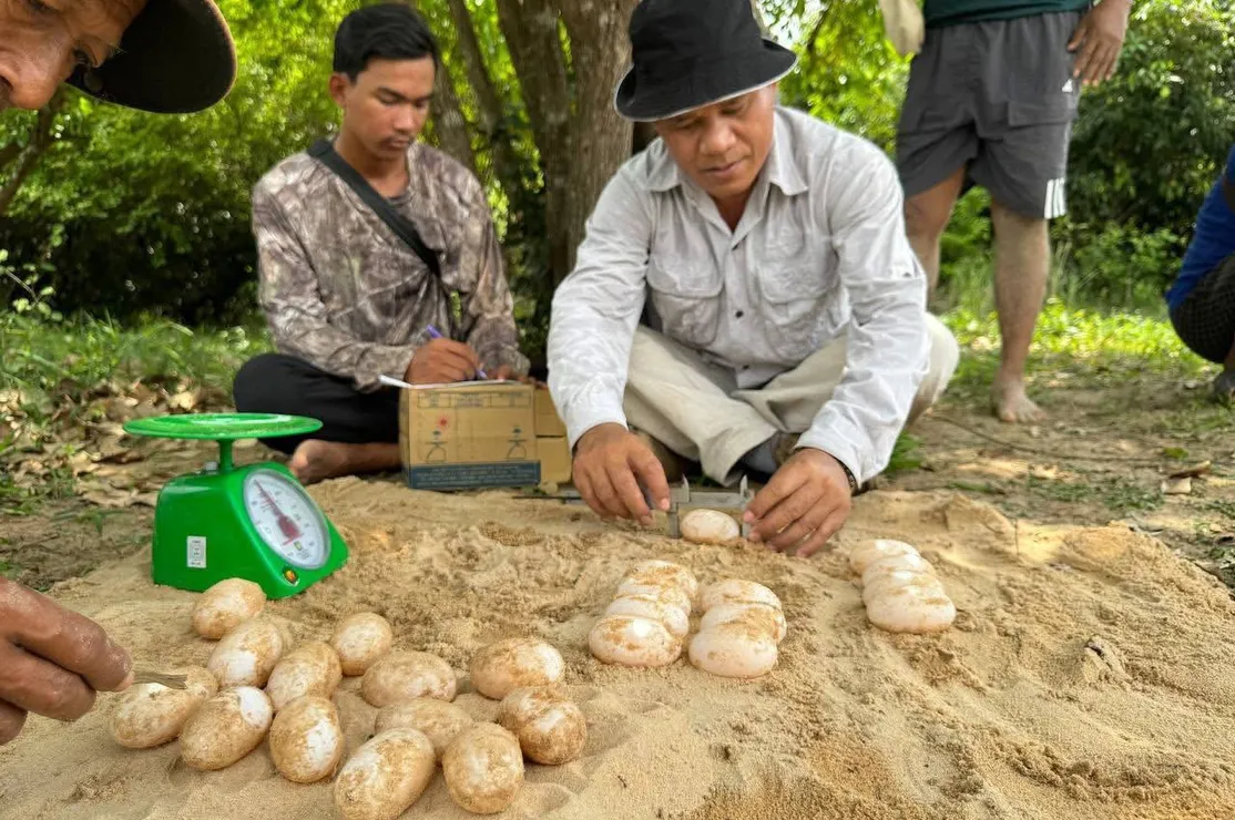 អ្នកអភិរក្សរកឃើ...
