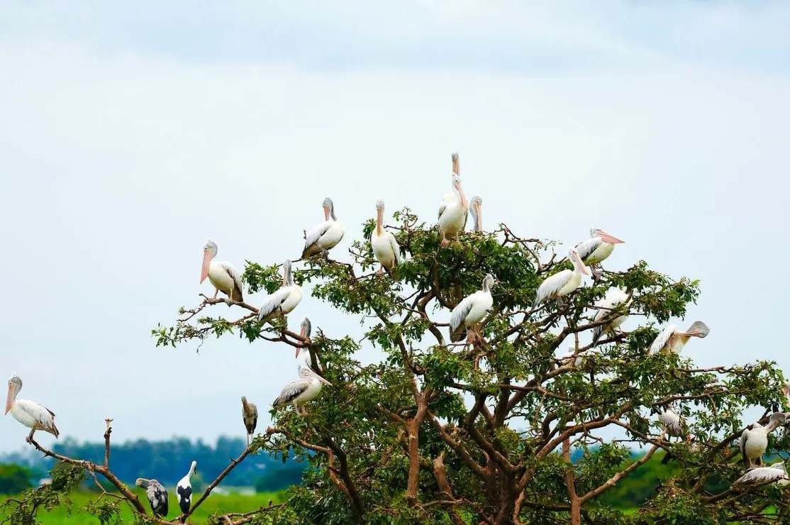 អង្គការជីវិតធម្...
