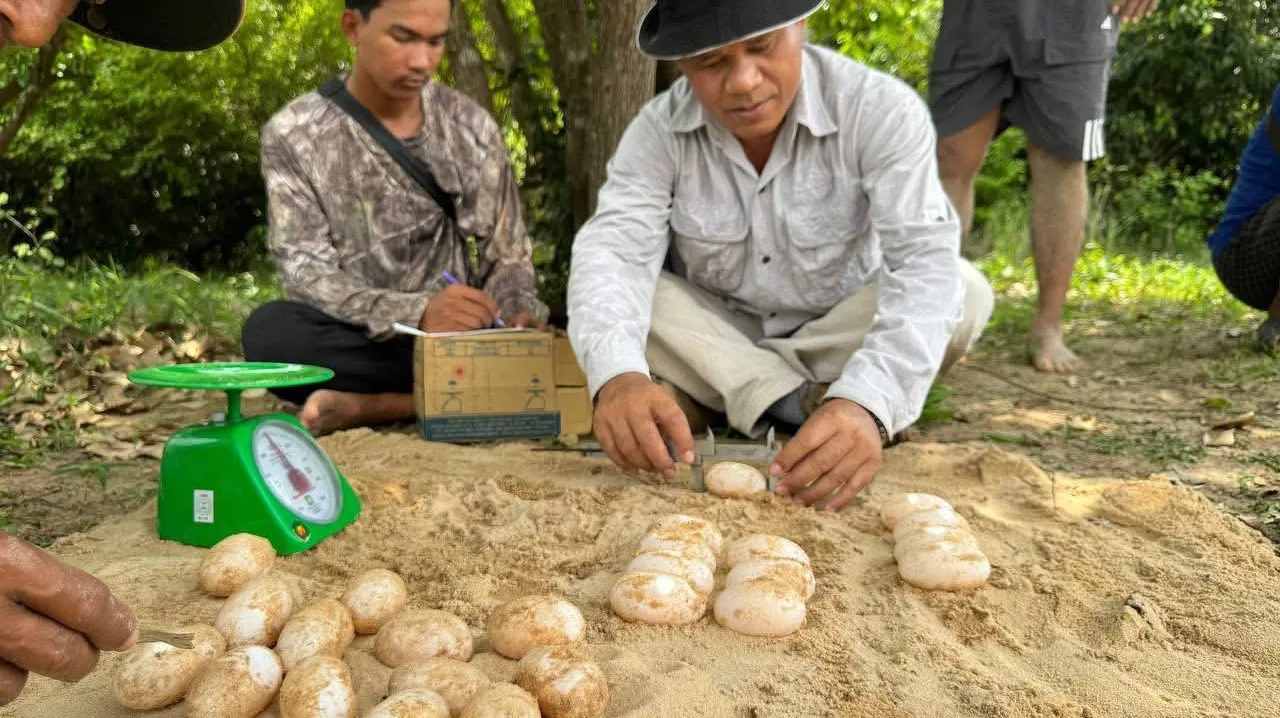 អ្នកអភិរក្សរកឃើ...