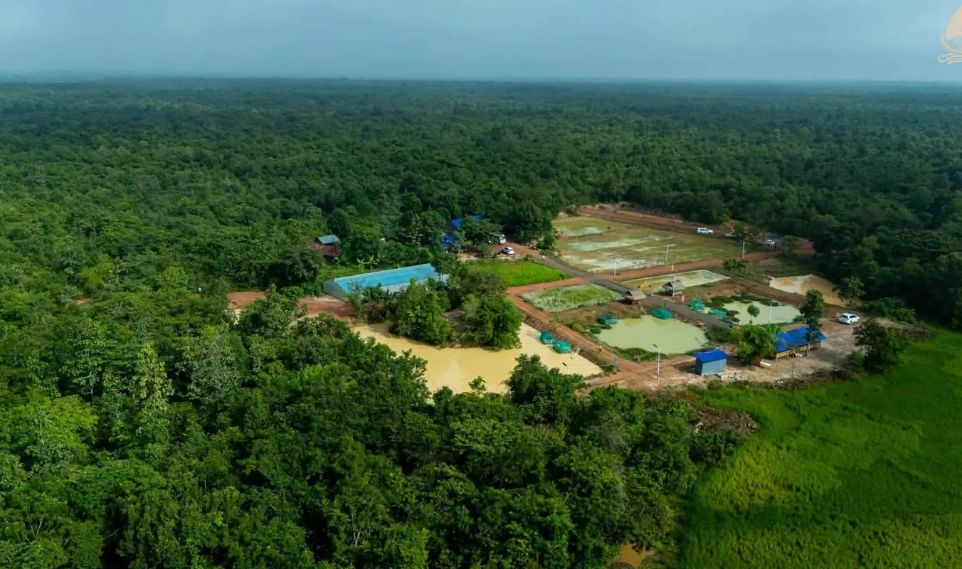 សហគមន៍​ព្រៃឈើ​ត្រពាំង​ពិការ ​ផ្ដល់​អត្ថប្រយោជន៍​ដល់​ពលរដ្ឋ​ជាង​ ៤០០ ​​គ្រួសារ​នៅ​រមាស​ហែក​ - AMS Article Thumbnail