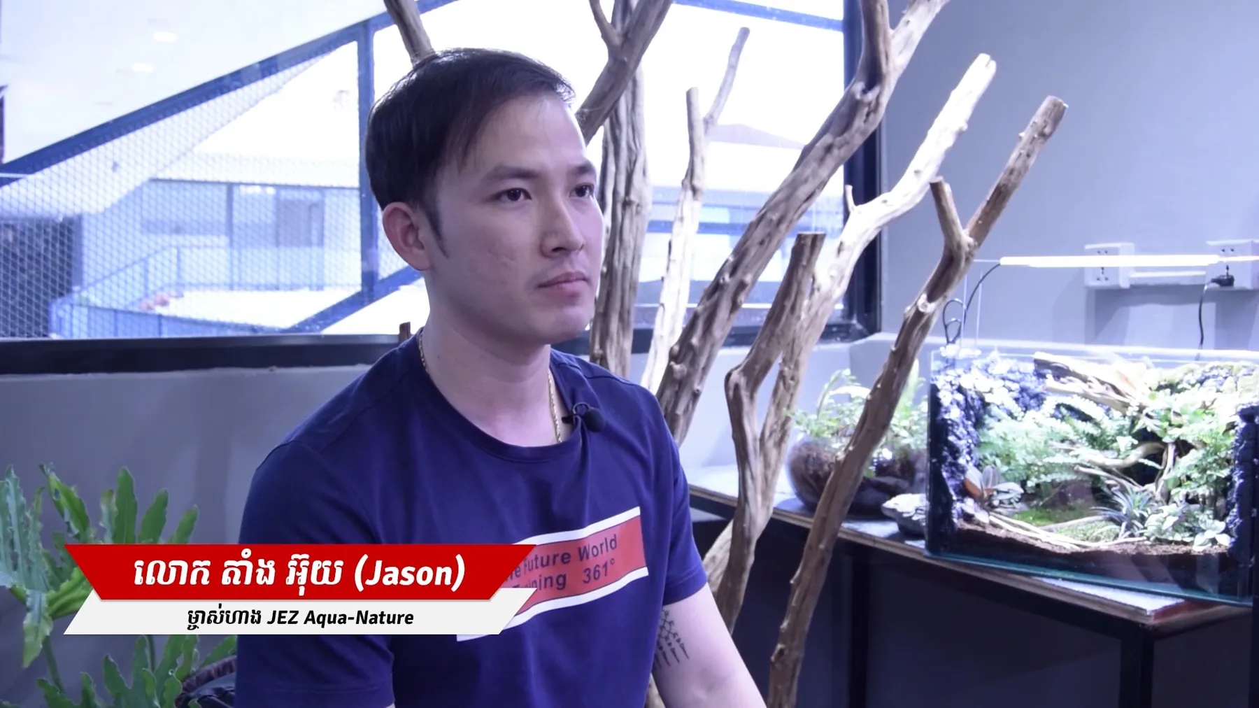 របររៀបទូចិញ្ចឹមត្រី លម្អបែបរុក្ខជាតិ កំពុងរីកដុះដាល