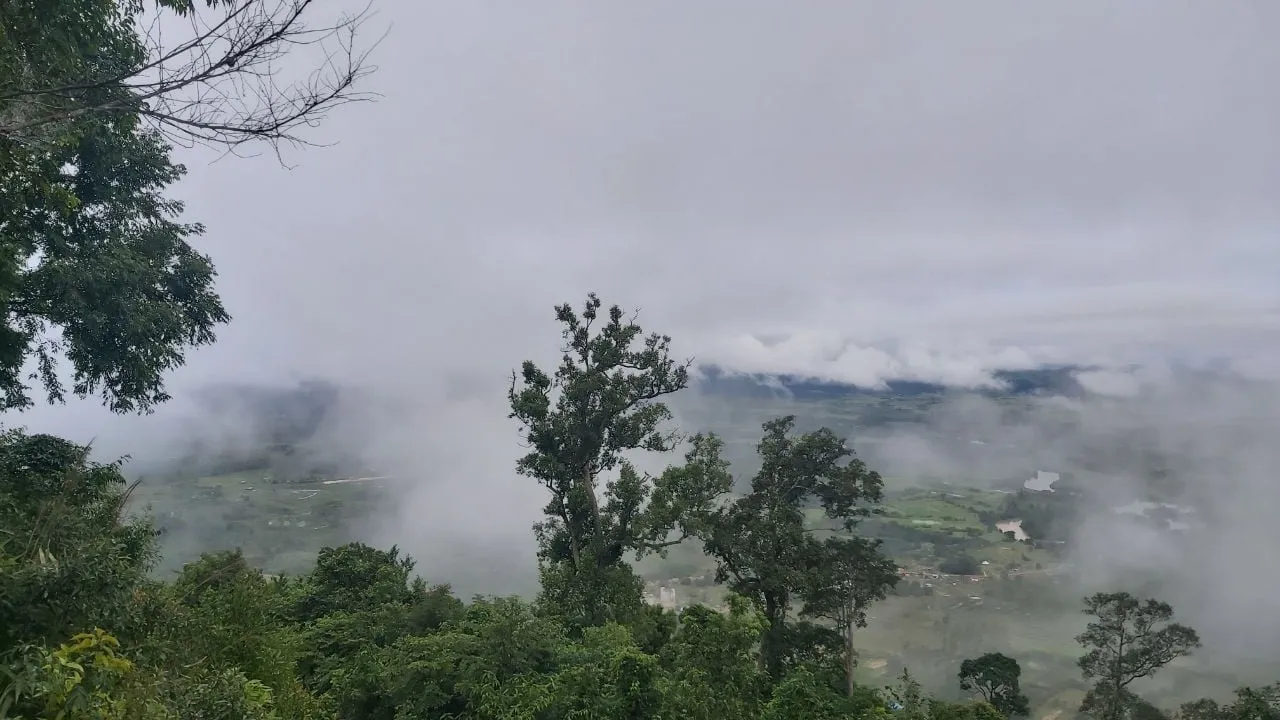 ស្ទឹងពពកគឺជាតំបន់ទេសចរណ៍បែបធម្មជាតិ និងទាក់ទាញភ្ញៀវទេសចរកាន់តែច្រើន បន្ទាប់ពីកូវីដ១៩ស្ងាប់ស្ងាត់