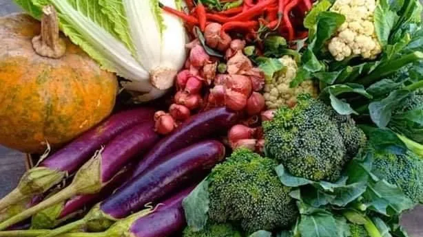 ការនាំចេញបន្លែចម្រុះរបស់កម្ពុជា​នៅឆមាសទី១ឆ្នាំនេះ  កើនឡើងជាង១៥០ភាគរយ