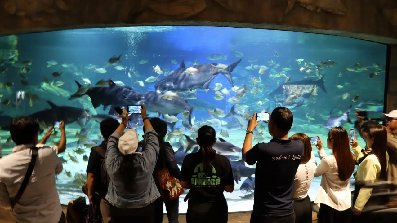 ឧទ្យានកម្សាន្ត Angkor Wildlife &amp; Aquarium មិនត្រឹមជាកន្លែងទស្សនា ប៉ុន្តែក៏បានផ្តល់ការសង្រ្គោះ និងអភិរក្ស