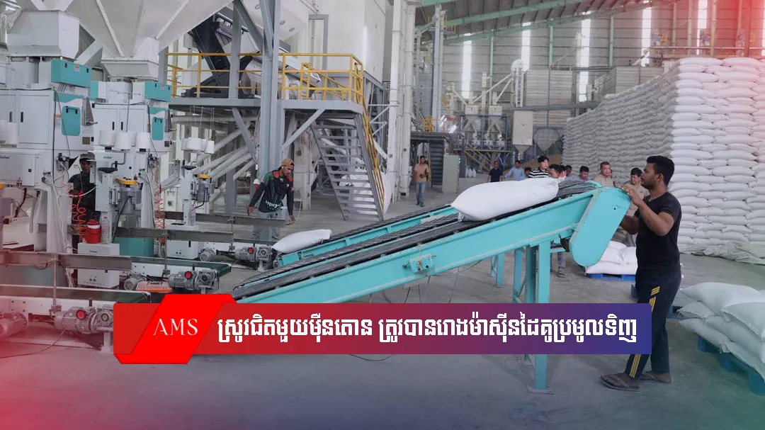 បរិមាណស្រូវសើមជិតមួយម៉ឺនតោន ត្រូវបានរោងម៉ាស៊ីនដៃគូជាមួយក្រសួងកសិកម្មប្រមូលទិញ​ពីកសិករ​នៅទូទាំងប្រទេស