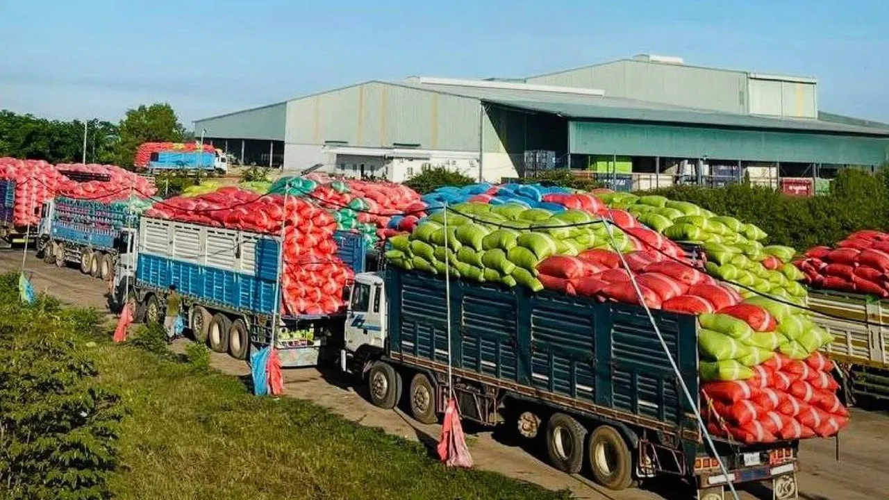 អ្នកនាំពាក្យក្រសួងកសិកម្ម៖ស្រូវចំនួន១៤.០០០តោន នឹងប្រមូលទិញ​បន្ថែមទៀតនៅថ្ងៃនេះ