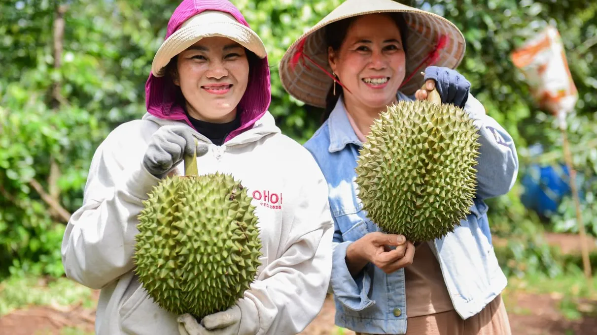 វៀតណាមលក់បន្លែ,ផ្លែឈើឲ្យ ចិន ៤ពាន់លានដុល្លារ ត្រឹម៩ខែ