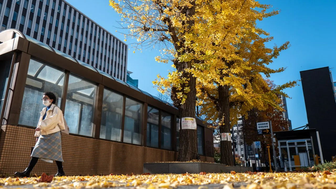 ជប៉ុនបង្កើតនាយកដ្ឋាន DOGE កាត់បន្ថយចំណាយខ្ជះខ្ជាយ