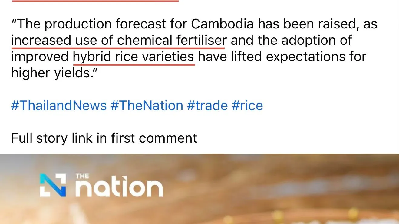 ក្រសួងកសិកម្មបំភ្លឺការចុះផ្សាយមួលបង្កាច់របស់សារព័ត៌មានថៃ The Nation Thailand ពាក់ព័ន្ធនឹងកំណើនផលិតកម្មស្រូវក្នុងឆ្នាំ២០២៥ របស់កម្ពុជា