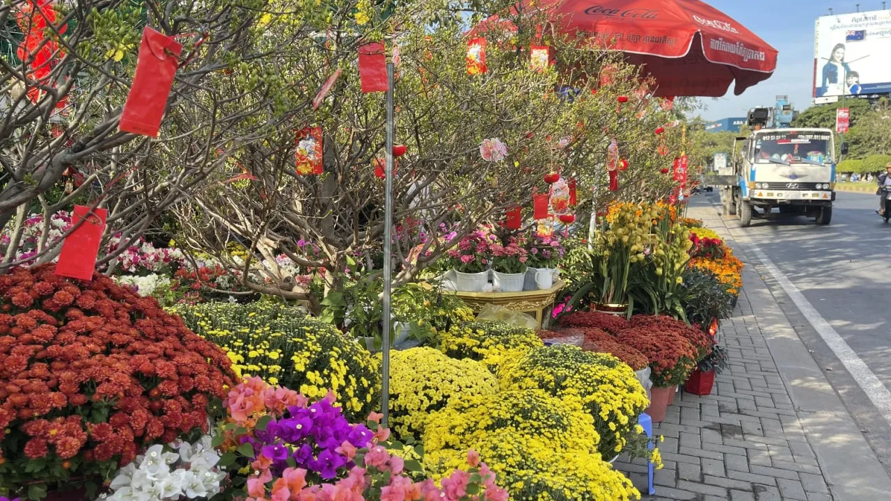 អាជីវកម្មលក់ផ្កាតាំងលម្អ និងរុក្ខជាតិក្នុងពិធីបុណ្យចូលឆ្នាំចិនម្តងៗ​ត្រូវការ​ដើមទុនខ្ពង់ម៉ឺនដុល្លារ