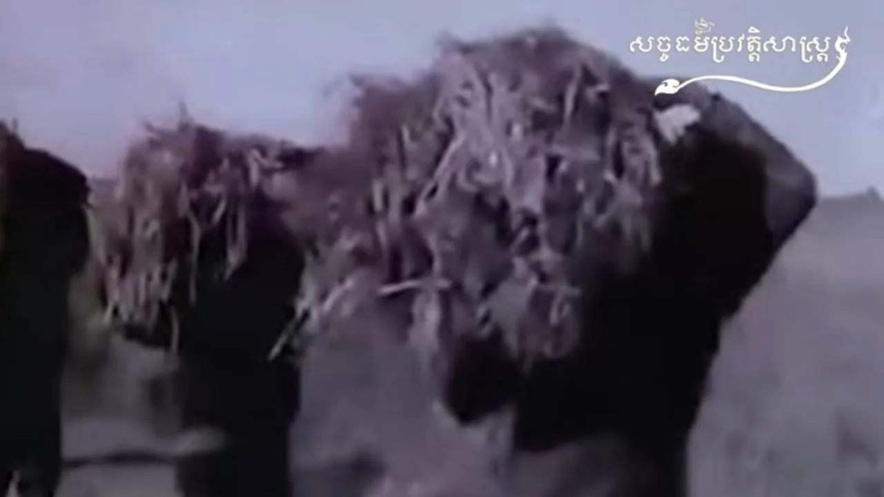 វីដេអូ៖ "មាគ៌ាមហាលោតផ្លោះ១ហិចតា ៣តោន"