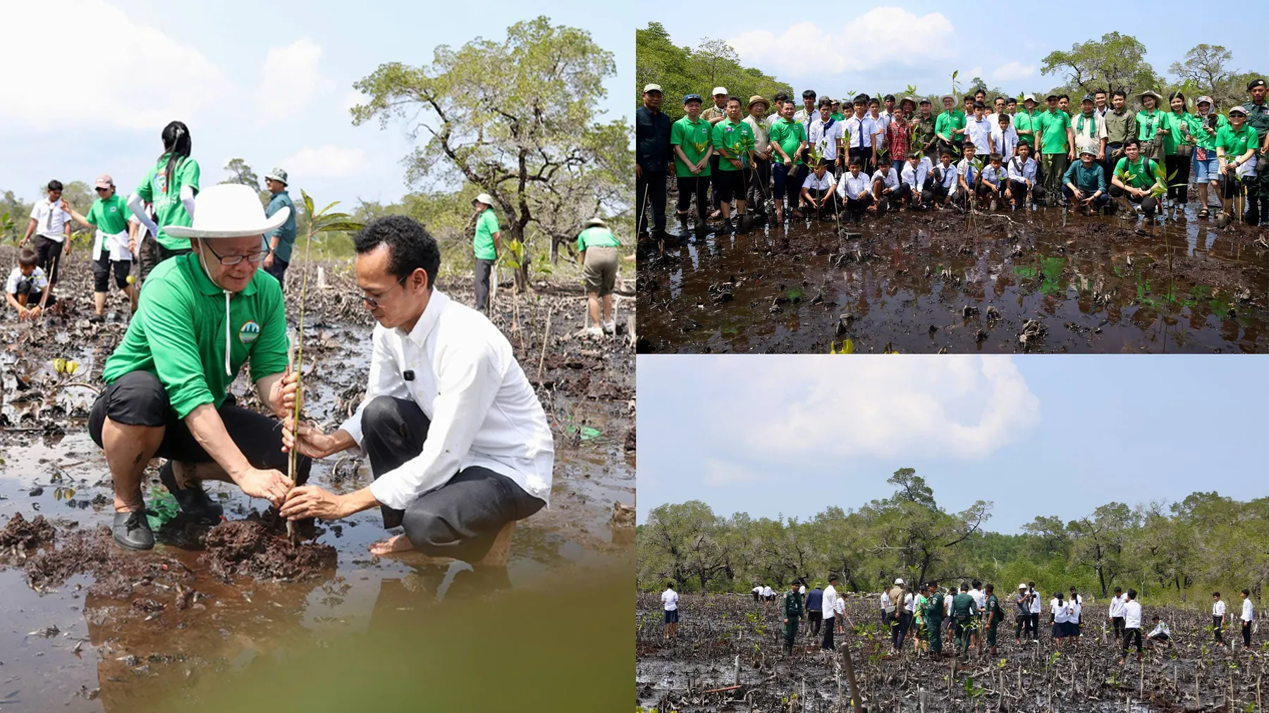 កោះស្រឡៅនឹងក្លាយជាកោះអព្យាក្រឹតកាបូនគំរូដំបូងគេនៅកម្ពុជា
