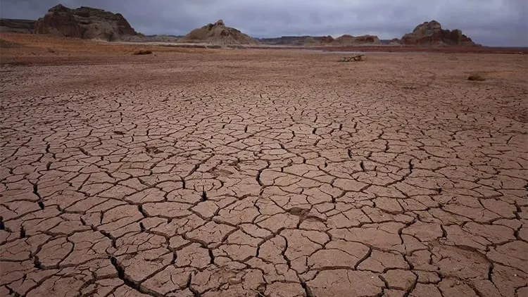 អង្គការ FAO ព្រមានកម្ពុជាឳ្យត្រៀមទប់ទល់ហានិភ័យពីការកើនឡើងកម្ដៅ