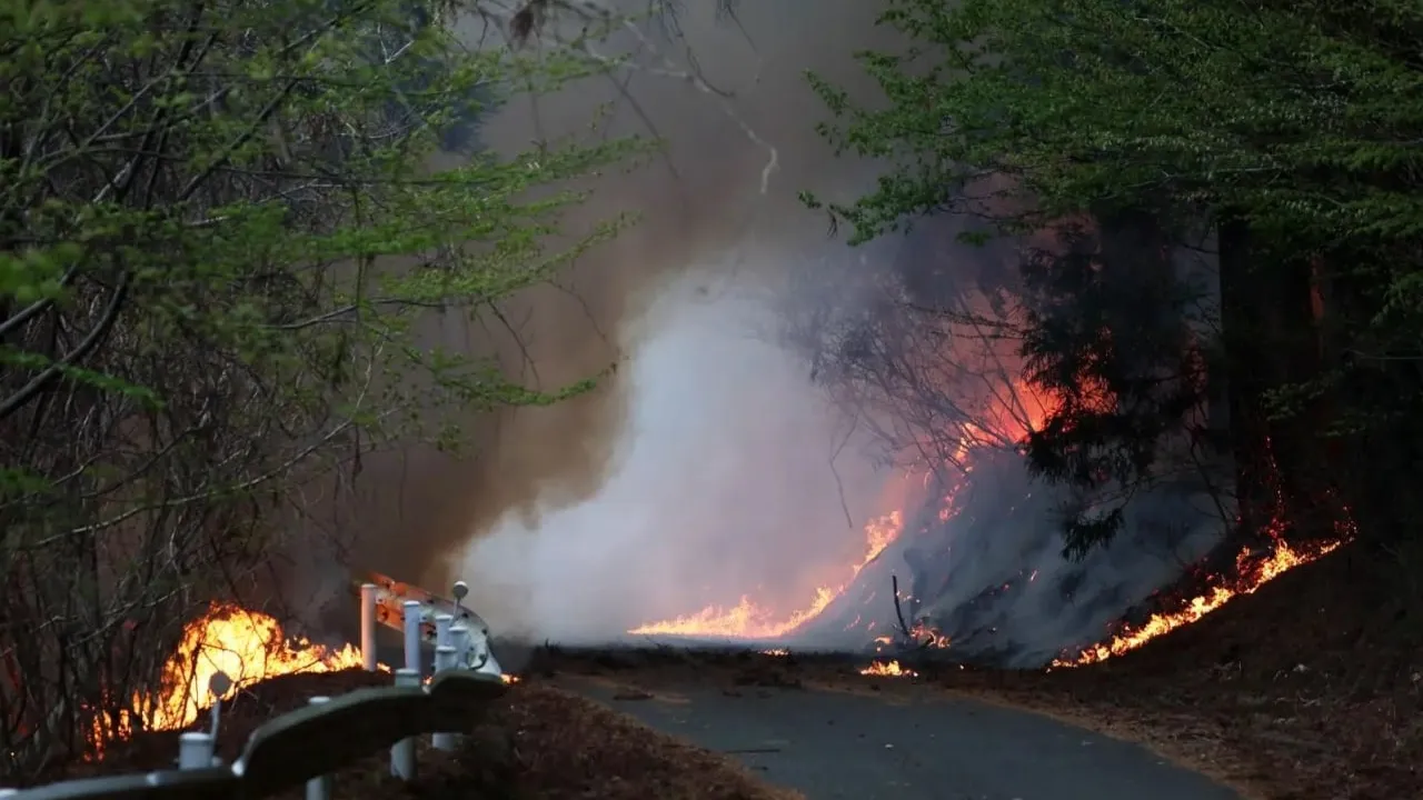ជប៉ុន ពង្រាយអ្នកពន្លត់អគ្គិភ័យ ១,៤០០ នាក់ ប្រយុទ្ធនឹងភ្លើងឆេះព្រៃដ៏កំណាច
