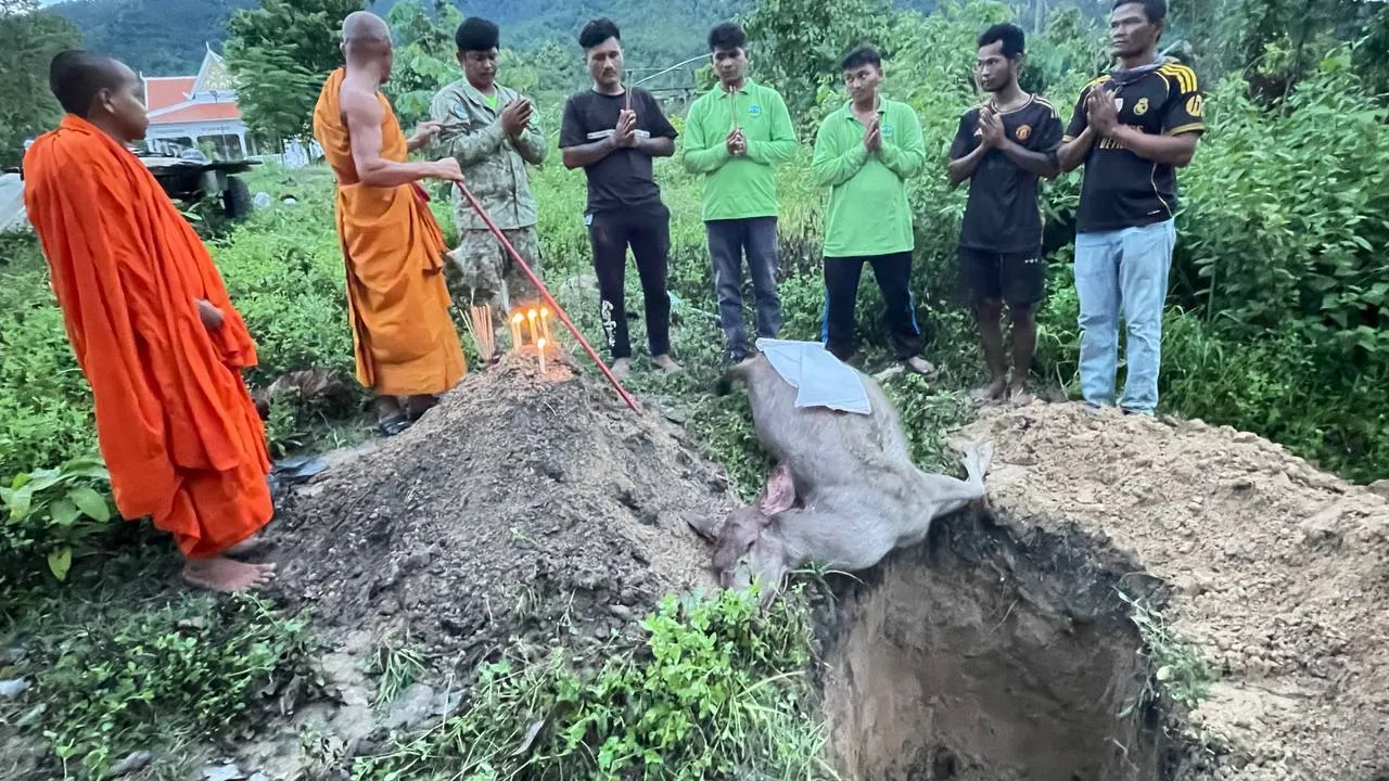 ការសម្លាប់ឬការបរបាញ់សត្វព្រៃនៅកម្ពុជា ត្រូវផ្តន្ទាទោសយ៉ាងធ្ងន់ធ្ងរតាមផ្លូវច្បាប់