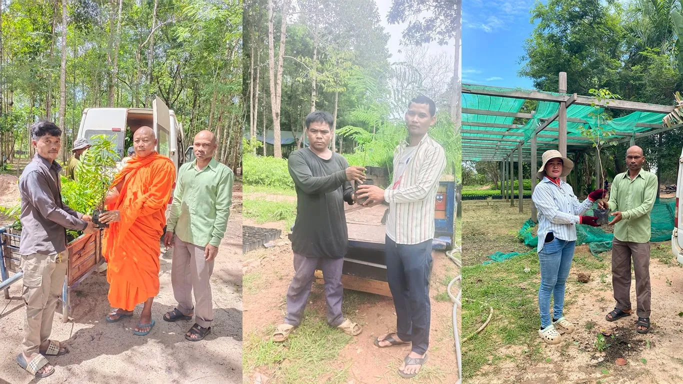 អាជ្ញាធរជាតិអប្សរាបន្តចែកចាយកូនឈើចម្រុះជាង៨ពាន់បន្ថែមទៀតដល់សាធារណជន
