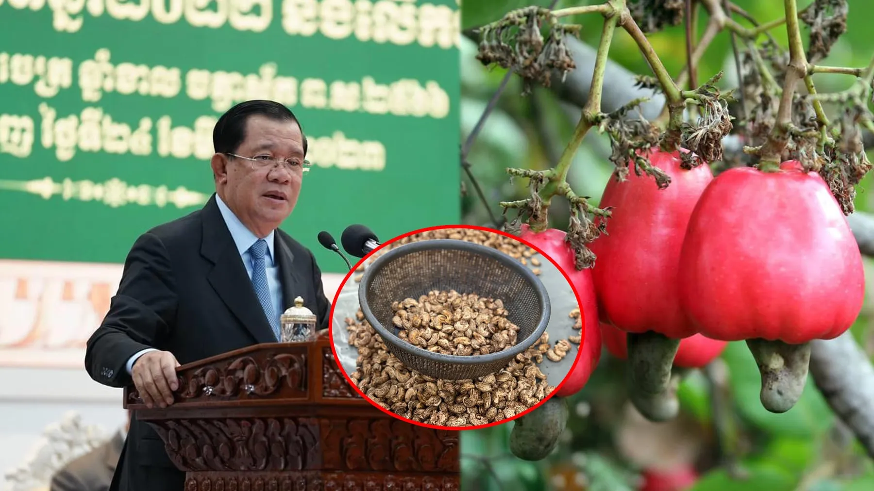 សម្តេចតេជោ ហ៊ុន សែន ជំរុញឱ្យប្រែក្លាយប្រទេសកម្ពុជាទៅជា​ប្រទេសអធិរាជស្វាយចន្ទី