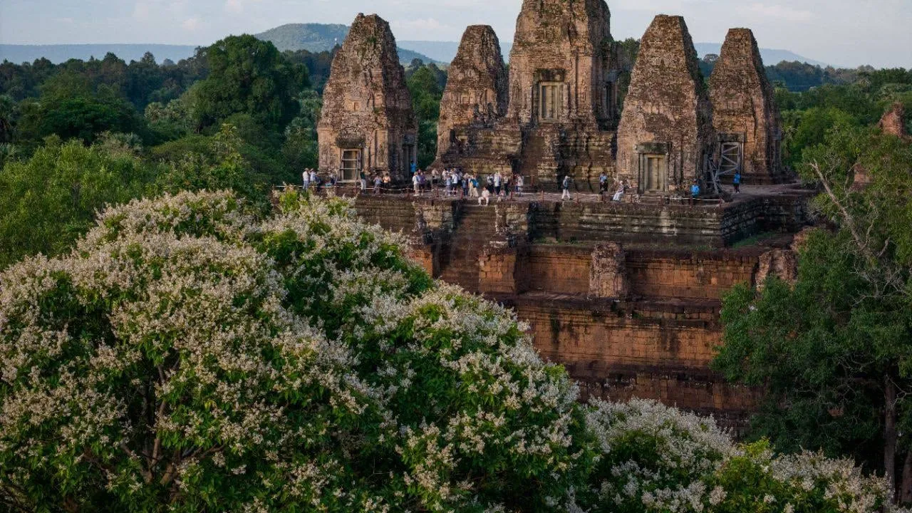 ចំណូលពីការលក់សំបុត្រចូលអង្គរធ្លាក់ចុះជិត ៣០% ក្នុងរយៈពេល៥ខែឆ្នាំនេះ