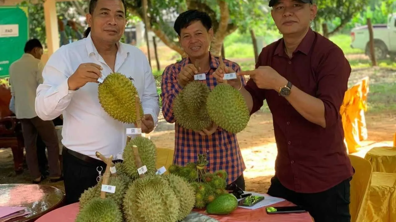 ពិព័រណ៍ផ្លែឈើបាត់ដំបង ២០២៦៖ យុទ្ធសាស្ត្ររុញកសិផលក្នុងស្រុក និងទាក់ទាញទេសចរជាមួយកម្មវិធី «ប៊ូហ្វេទុរេន»
