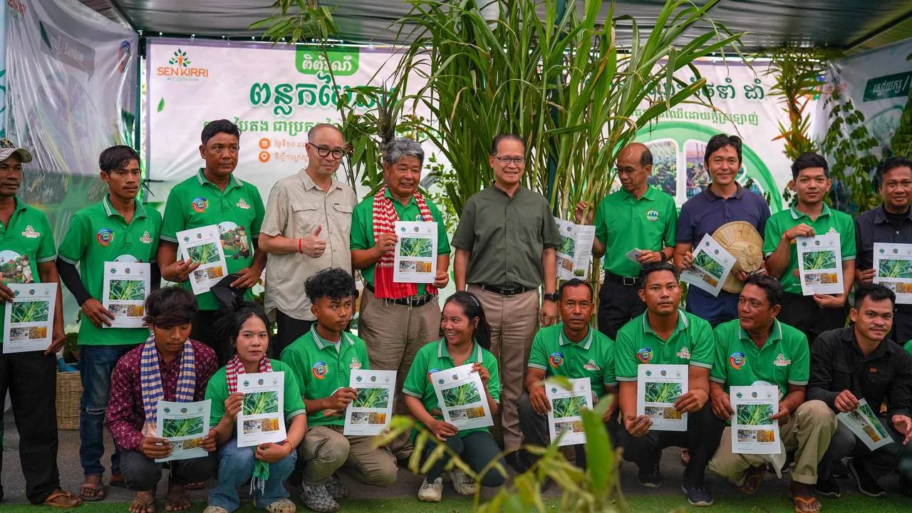 ស្មៅយក្ស៖ របរថ្មីផ្តល់ចំណូលខ្ពស់ដល់កសិករ