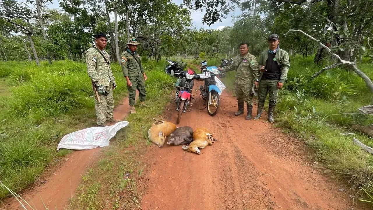 ព្រានព្រៃបរបាញ់ជ្រូកព្រៃ និងឈ្លូស៣ក្បាល រត់គេចខ្លួនចូលព្រៃ ក្រោយសមត្ថកិច្ចតាមទាន់