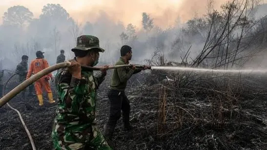 ភ្លើងឆេះព្រៃឥណ្ឌូណេស៊ីបង្កជាផ្សែងពុលគ្រោះថ្នាក់ រាលដាល៣ប្រទេស