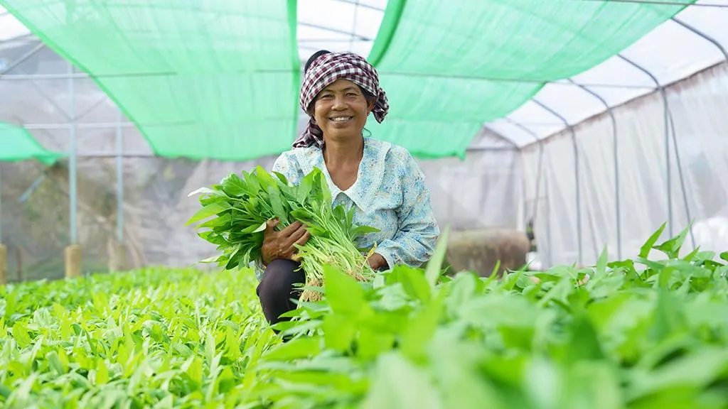 ADB អនុម័តថវិកា ៧២លានដុល្លារ ជួយពង្រឹងកសិកម្មជនបទ និងលើកកម្ពស់ស្ត្រីកសិករខ្នាតតូច២០ម៉ឺននាក់នៅកម្ពុជា