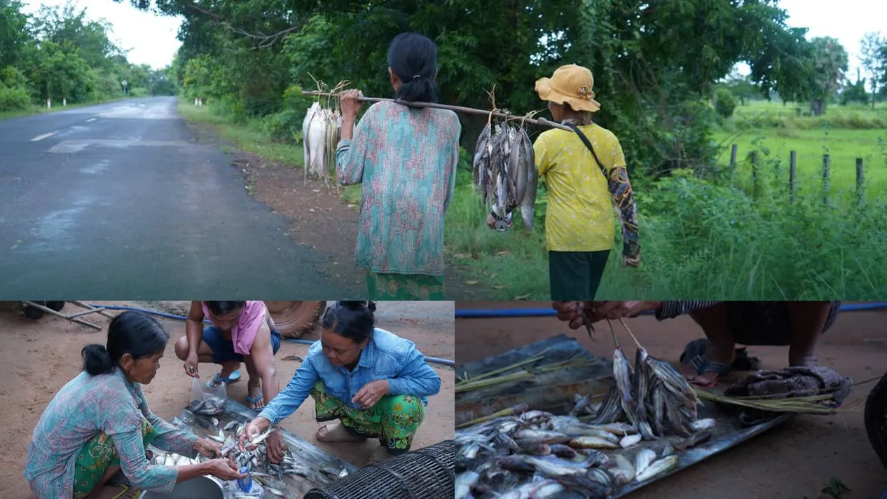 អ្នកស្រុកគូលែនរក្សាប្រពៃណីរែកត្រីដើរលក់តពីដូនតាមក
