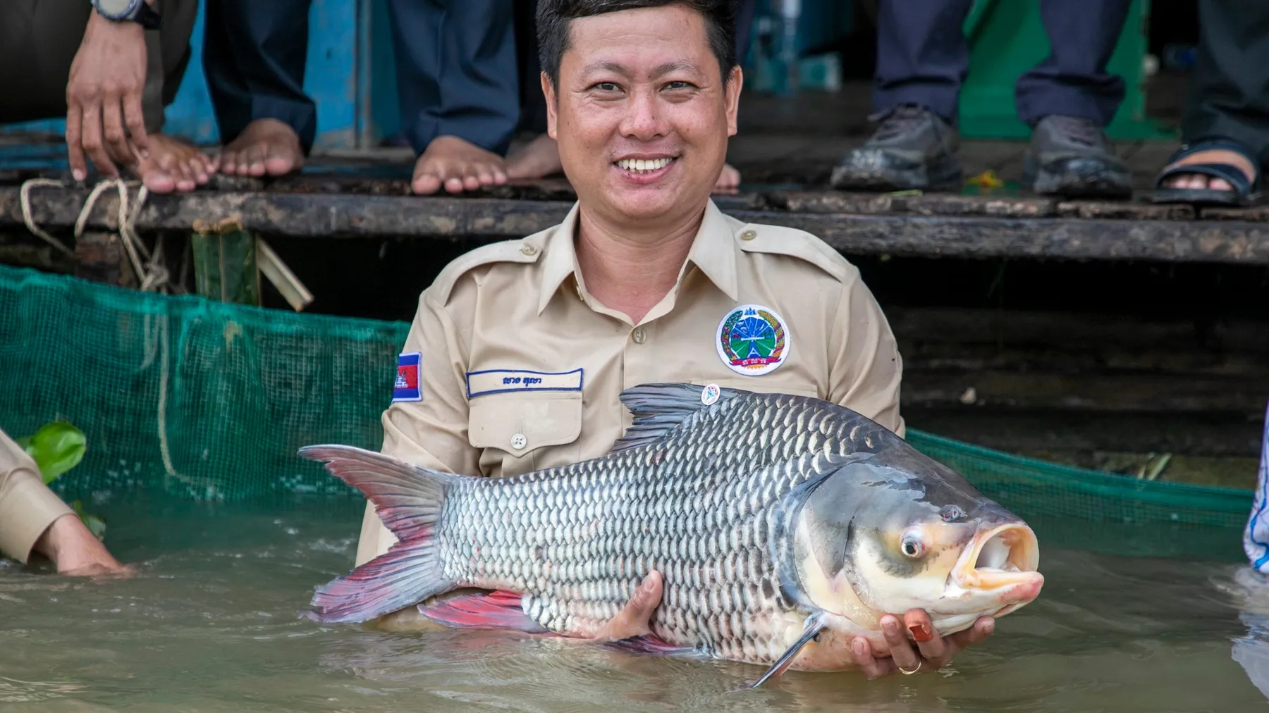 ត្រីកម្រជិតផុតពូជចំនួន ៤ប្រភេទសរុបជាង១០០ក្បាលត្រូវបានលែងចូលទឹកទន្លេវិញ