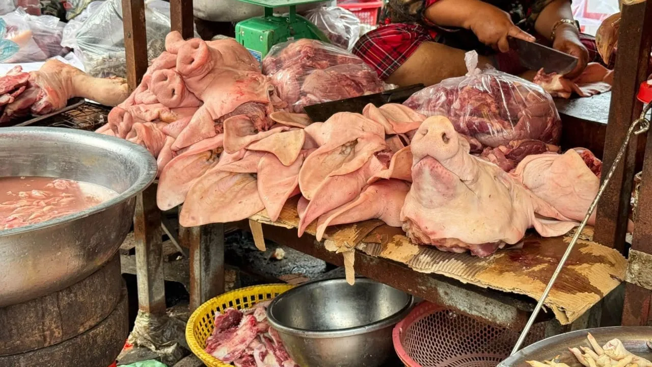 សមាគមអ្នកចិញ្ចឹមសត្វកម្ពុជា គាំទ្រវិធានការទប់ស្កាត់ការលួចនាំចូលជ្រូករស់ខុសច្បាប់