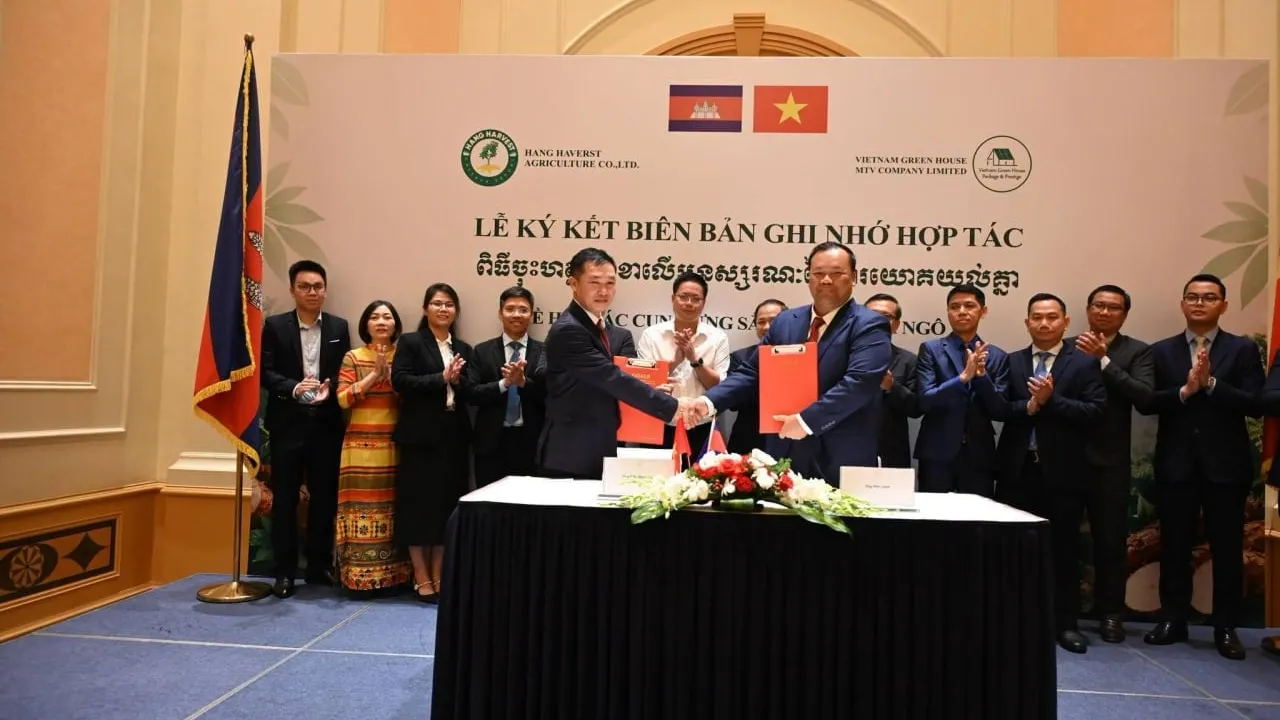 ក្រុមហ៊ុនវៀតណាមមួយចុះកិច្ចព្រមព្រៀងទិញដំឡូងមីក្រៀម និងពោតចំនួន៤០ម៉ឺនតោនពីកម្ពុជា