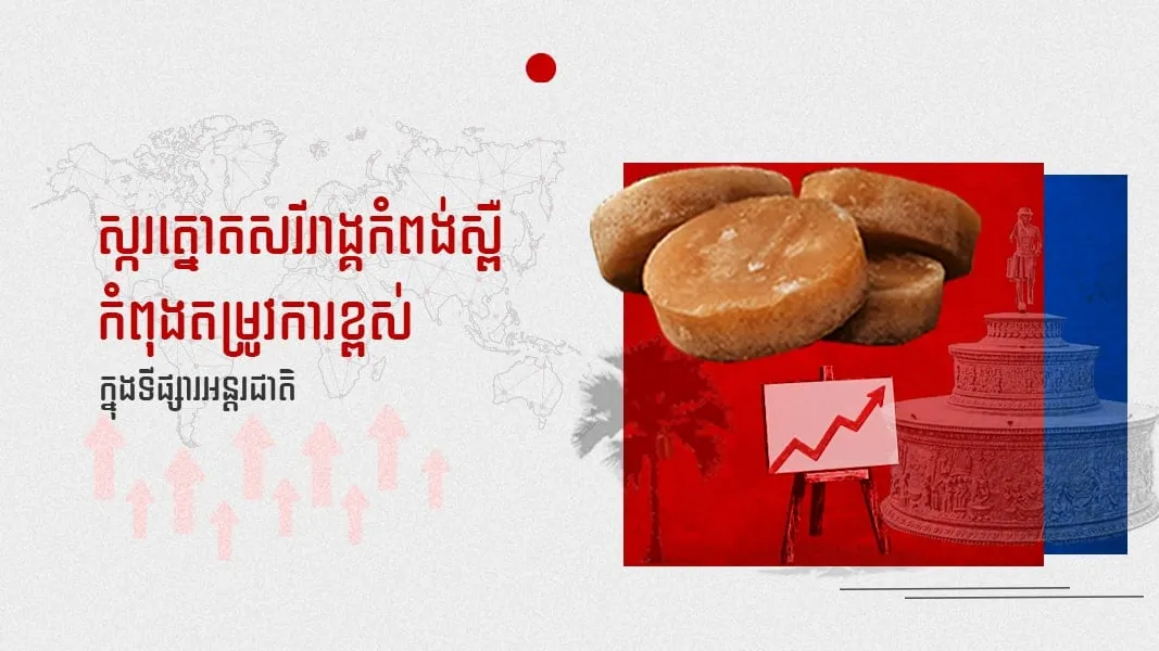 ស្ករត្នោតសរីរាង្គកំពង់ស្ពឺ កំពុងតម្រូវការខ្ពស់ក្នុងទីផ្សារអន្តរជាតិ