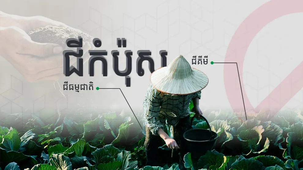 អាជីវកម្មកំប៉ុសគោក ចំណេញទាំងបរិស្ថាន ល្អទាំងដំណាំ ថែមទាំងលើកស្ទួយជីវភាពប្រជាជនក្នុងសហគមន៍
