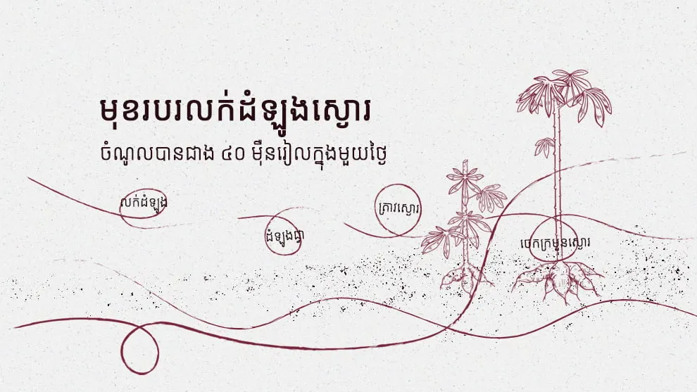  មុខរបរលក់ដំឡូងស្ងោរមួយកញ្ច្រែង តែអាចរកចំណូលបានជាង ៤០ ម៉ឺនរៀលក្នុងមួយថ្ងៃ