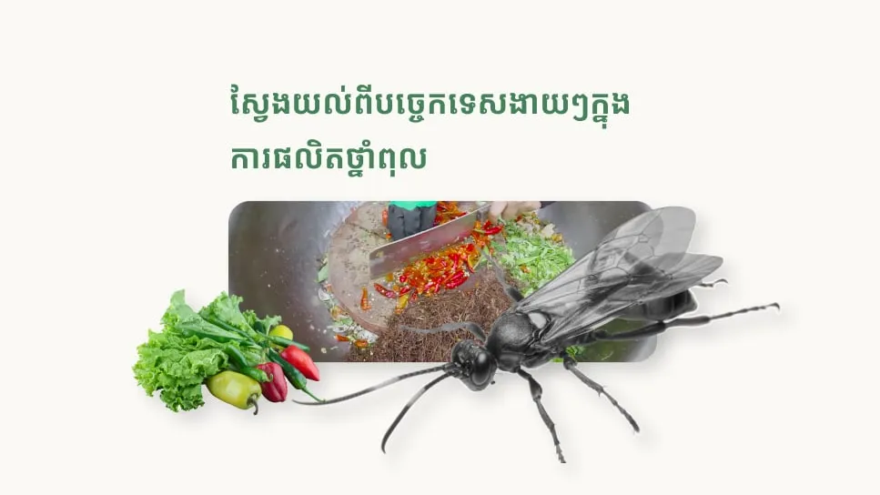 ស្វែងយល់ពីបច្ចេកទេសងាយៗក្នុងការផលិតថ្នាំពុលធម្មជាតិសម្រាប់ការពារដំណាំយកស្លឹកពីសត្វល្អិត