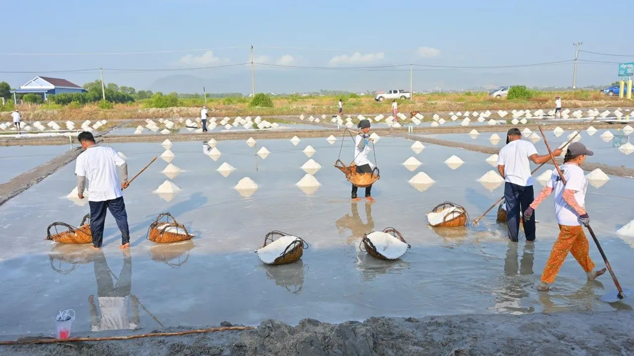 ក្រុមហ៊ុនក្នុងស្រុកដ៏ធំមួយ គ្រោងបោះទុន​វិនិយោគខ្នាតធំលើវិស័យអំបិល