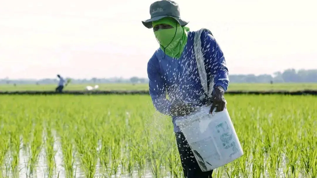 ជីកសិកម្មឡើងថ្លៃស្របពេលវិបត្តិប្រេងឥន្ទនៈកំពុងមានសម្ពាធ