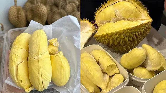 ការនាំចូលទុរេនពីក្រៅប្រទេសបង្កផលប៉ះពាល់ដល់តម្លៃទីផ្សារទុរេនក្នុងស្រុក
