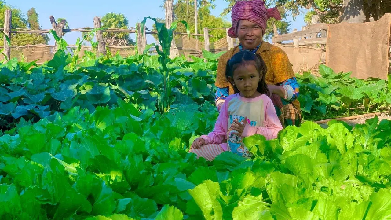 ច្នៃដីទំនេរនៅក្បែរផ្ទះដាំដំណាំ​ បង្កបង្កើនផល ​បានទាំងបន្លែទទួលទាន បានទាំងប្រាក់ចំណូលប្រចាំថ្ងៃ