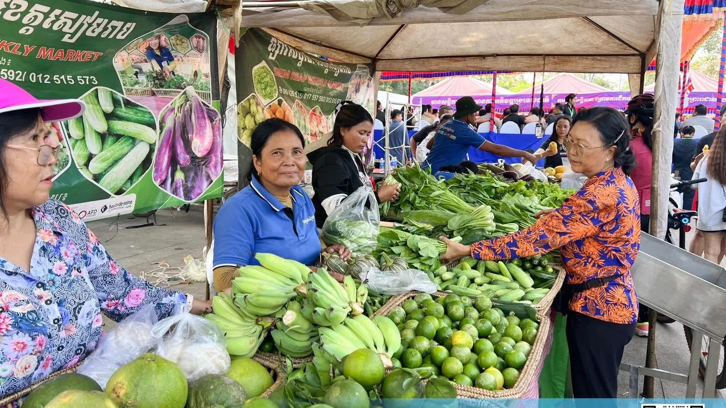 កសិករដាំបន្លែនៅសៀមរាប បង្កើតចំណូលប្រចាំថ្ងៃ និងជួយផ្គត់ផ្គង់ទីផ្សារក្នុងស្រុក
