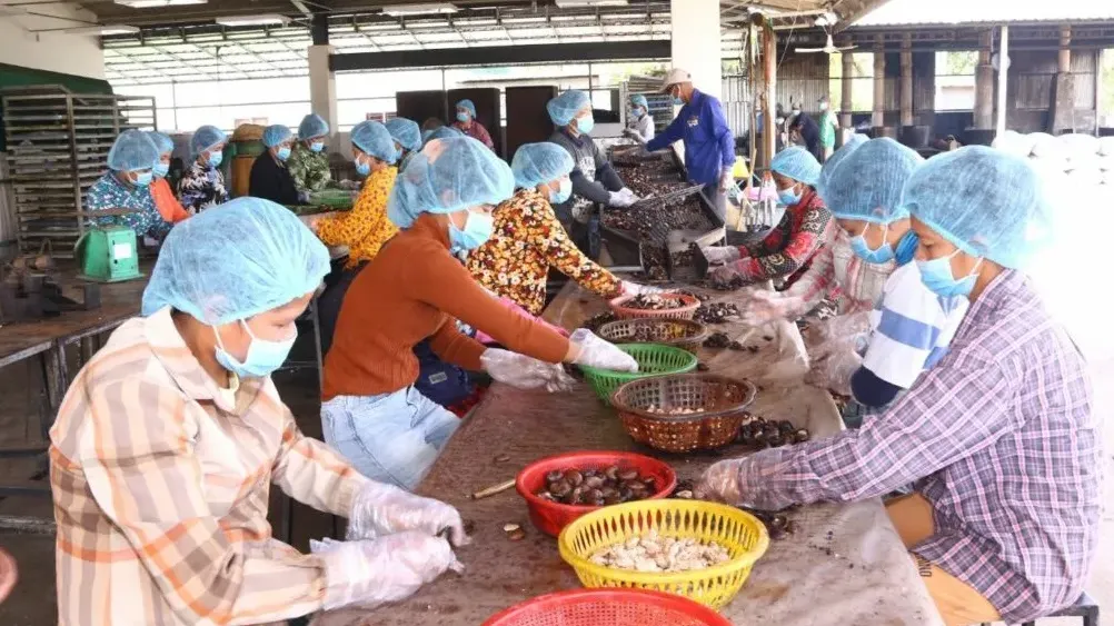 បញ្ហាប្រឈមធំៗចំនួន ៥ ដែលវិស័យ MSMEs កំពុងជួបប្រទះ ខណៈរដ្ឋាភិបាលកំពុងប្រឹងប្រែងជួយដោះស្រាយ