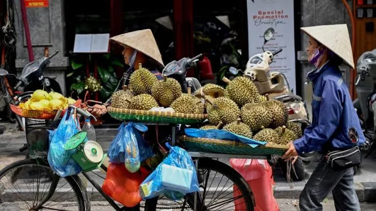 រយៈពេល​ ​៦​ ​ខែ​ ​វៀតណាម​រក​ចំណូល​បាន​ជិត​ ​១​ ​ពាន់​លាន​ដុល្លារ​ពី​ការ​នាំចេញ​ទុរេន​ទៅ​ចិន​