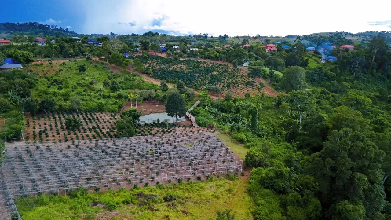 រដ្ឋាភិបាល កំពុងជំរុញការ​វិនិយោគ​ និងកែច្នៃនៅនឹង​កន្លែងលើ​ផលិតផលកសិកម្ម​​ក្នុងតំបន់ភូមិភាគឦសាន
