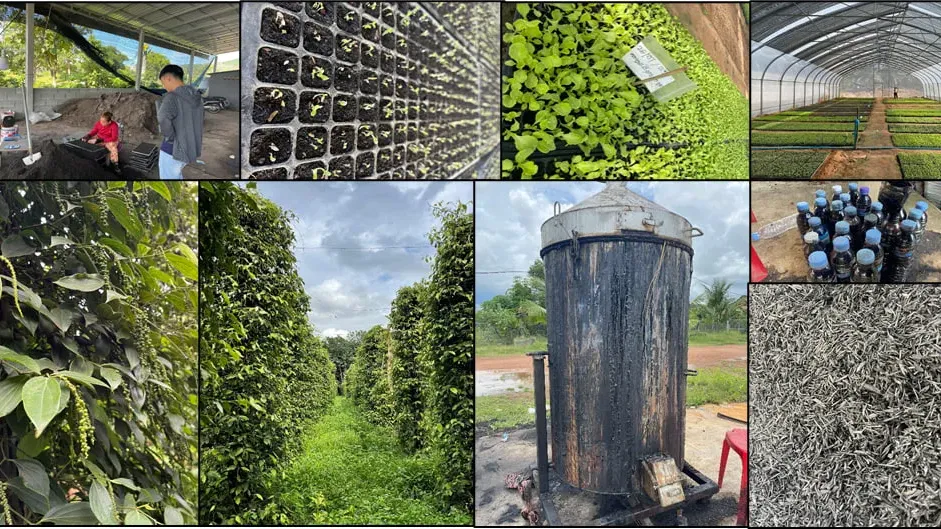 ការ​សិក្សា​ បង្ហាញថា​ សហគមន៍​កសិកម្ម​ទំនើប​ជួយ​បង្កើន​ប្រាក់​ចំណេញ​ ប៉ុន្តែ​នៅ​ខ្វះ​ទុន