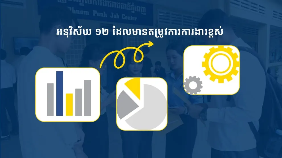  អនុវិស័យ ១២ ដែលមានតម្រូវការ​ការងារខ្ពស់ក្នុង ឆ្នាំ២០២៤ និងឆ្នាំ២០២៥