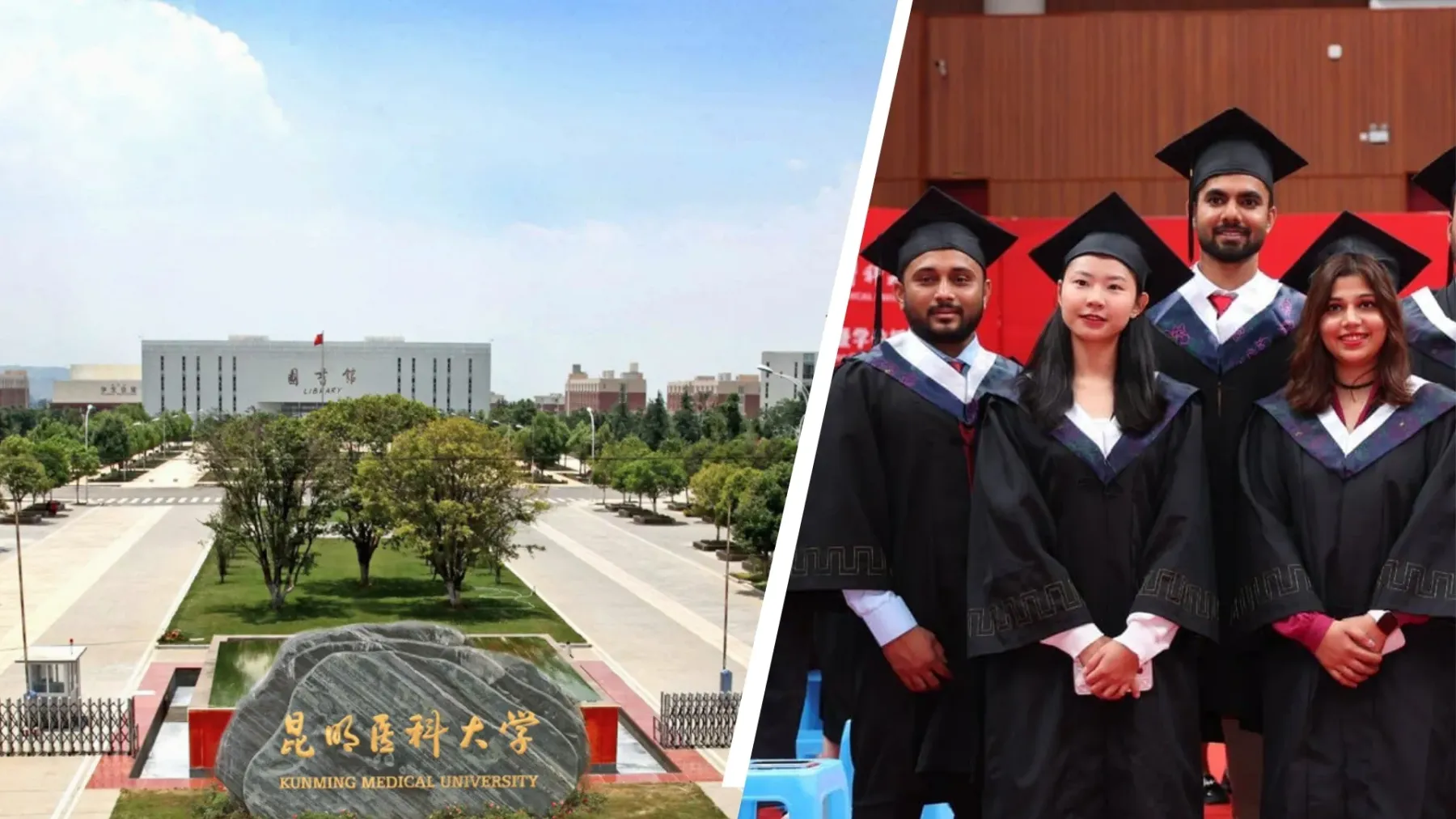 អាហារូបករណ៍រដ្ឋាភិបាលចិន ផ្លូវមួយ ខ្សែក្រវ៉ាត់មួយ ជំនាញវេជ្ជសាស្ត្រ