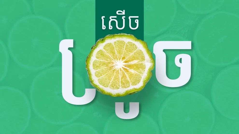 តូចមែនប៉ុន្តែមិននឹកស្មានក្រូចសើចមានអត្ថប្រយោជន៍ល្អស្ទើរពេញមួយតួខ្លួន