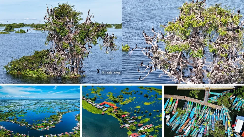 ភូមិព្រែកទាល់ ទីឋានគយគន់សត្វស្លាបរាប់រយប្រភេទ អមដោយផ្ទះបណ្ដែតទឹករាប់រយ