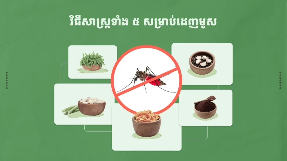 រដូវភ្លៀងមកដល់ អ្នកមានកូនតូច អាចប្រើប្រាស់វិធីសាស្រ្តទាំង ៥នេះ ដេញមូសបានតាមបែបធម្មជាតិ​