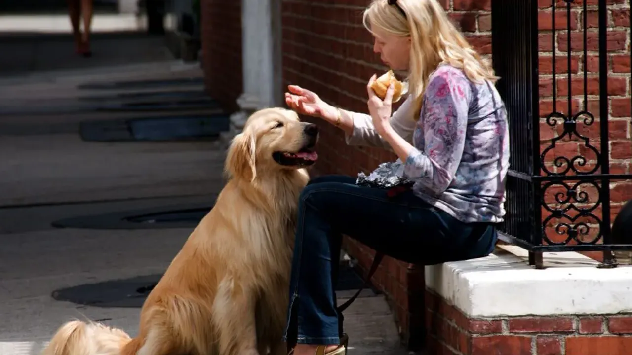 អ៊ីតាលី ប្រទេសដំបូងគេដែលអនុញ្ញាតឱ្យបុគ្គលិកសុំច្បាប់ឈប់សម្រាកមើលថែសត្វចិញ្ចឹមឈឺដោយទទួលបានប្រាក់ឈ្នួល